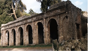 Immagine del Tempio di Giunone Sospita a Lanuvio